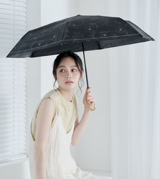 WPC Парасоля з захистом від UV, спеки та дощу Mini Black Parasol 55 cm ribs 5201 фото