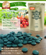 Algae Японська спіруліна 100% Spirulina 2400 таблеток 4141 фото 2