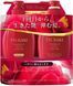 Tsubaki Преміум сет зволоження та відновлення Shiseido Premium Moist & Repair Shampoo + Conditioner 450ml 1011 фото 1